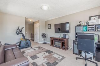 Photo 35: 357 VIEWPOINTE Terrace in Chestermere: House for sale : MLS®# A2042132