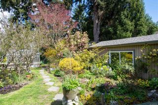 Photo 10: 910 Falmouth Rd in Saanich: SE Quadra House for sale (Saanich East)  : MLS®# 898783