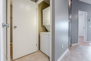 Photo 8: 4201 73 Erin Woods Court SE in Calgary: Erin Woods Apartment for sale : MLS®# A2019249
