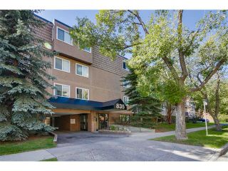 Photo 1: 306 835 19 Avenue SW in Calgary: Lower Mount Royal Condo for sale : MLS®# C4032189