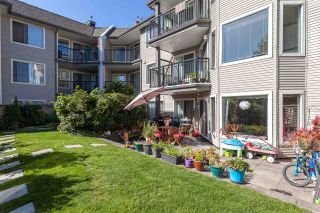 Photo 20: 116 3770 MANOR Street in Burnaby: Central BN Condo for sale (Burnaby North)  : MLS®# R2201954