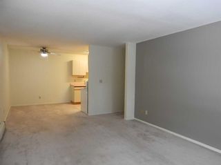 Photo 10: 304 5414 53 Street: Lacombe Apartment for sale : MLS®# A2115544