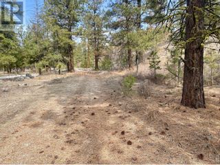 Photo 8: LOT 4 WHITETAIL Place in Osoyoos: Vacant Land for sale : MLS®# 10308924