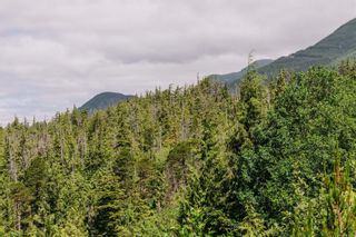 Photo 15: LOT D Hawkes Rd in Ucluelet: PA Ucluelet Land for sale (Port Alberni)  : MLS®# 912050
