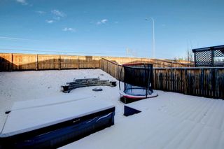 Photo 45: 314 Rockyspring Circle NW in Calgary: Rocky Ridge Detached for sale : MLS®# A1165735