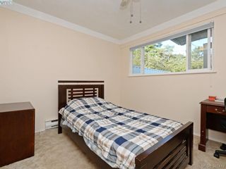 Photo 14: 3131 Jackson St in VICTORIA: Vi Mayfair House for sale (Victoria)  : MLS®# 768358