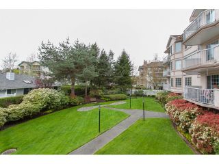 Photo 18: 102 5375 205 Street in Langley: Langley City Condo for sale in "GLENMONT PARK" : MLS®# R2053882