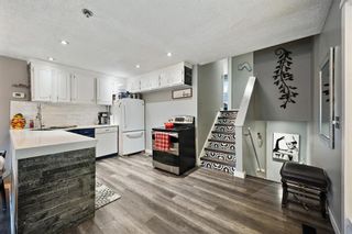 Photo 12: 1347 Berkley Drive NW in Calgary: Beddington Heights Detached for sale : MLS®# A2026417