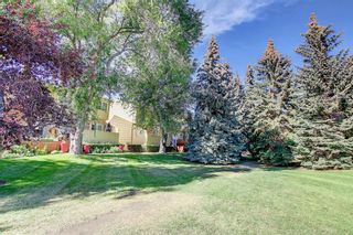 Photo 42: 302 Point Mckay Gardens NW in Calgary: Point McKay Row/Townhouse for sale : MLS®# A2003699