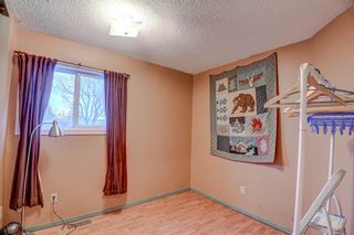 Photo 15: 109 Hunterhorn Crescent NE in Calgary: Huntington Hills Detached for sale : MLS®# A2095822