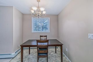Photo 10: 246 165 Manora Place NE in Calgary: Marlborough Park Apartment for sale : MLS®# A2021263