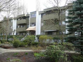 Photo 2: 22 2432 WILSON Avenue in Port Coquitlam: Central Pt Coquitlam Condo for sale in "ORCHARD VALLEY" : MLS®# R2135637
