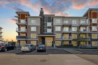 Main Photo: 7207 302 Skyview Ranch Drive NE in Calgary: Skyview Ranch Apartment for sale : MLS®# A2133279