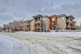 Photo 4: 321 2727 28 Avenue SE in Calgary: Dover Apartment for sale : MLS®# A2022433