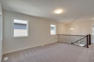 Photo 21: 32 RED SKY Common NE in Calgary: Redstone Detached for sale : MLS®# A1024921