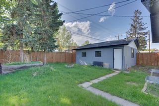 Photo 31: 9703 2 Street SE in Calgary: Acadia Detached for sale : MLS®# A2131345
