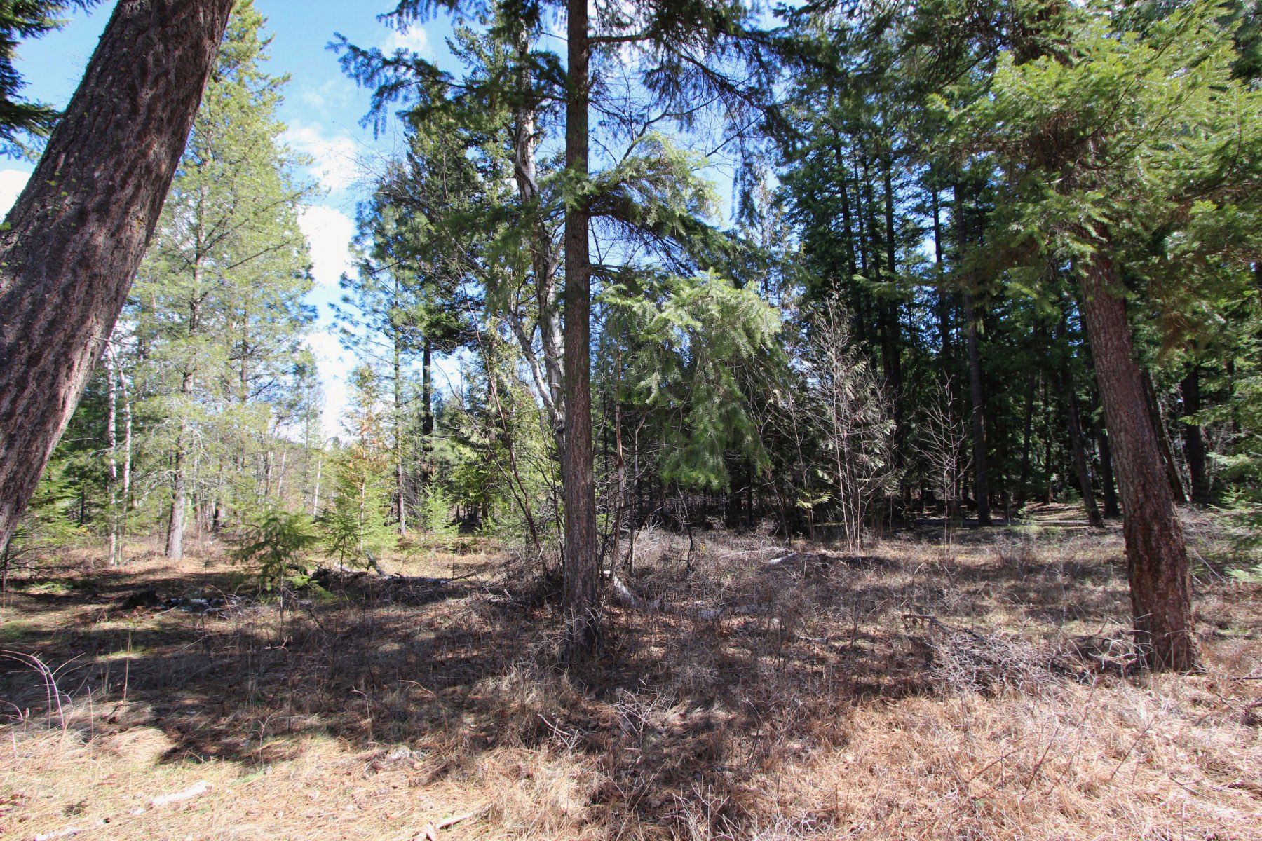 Photo 10: Photos: Lot B Zinck Road in Scotch Creek: Land Only for sale : MLS®# 10249220