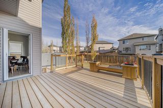 Photo 25: 18 Royal Birch Way NW in Calgary: Royal Oak Detached for sale : MLS®# A2022837