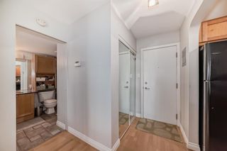 Photo 23: 401 835 18 Avenue SW in Calgary: Lower Mount Royal Apartment for sale : MLS®# A2142215