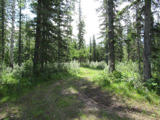 Photo 4: 70041 Highway 591: Rural Clearwater County Detached for sale : MLS®# C4305359
