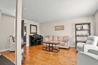 Photo 9: 19 Erin Park Bay SE in Calgary: Erin Woods Detached for sale : MLS®# A2125243