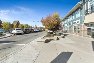 Photo 29: 312 10 Mahogany Mews SE in Calgary: Mahogany Apartment for sale : MLS®# A2129993