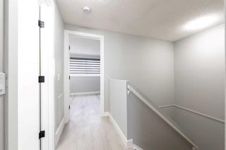 Photo 15: 5401 54 Street NE in Calgary: Falconridge Semi Detached (Half Duplex) for sale : MLS®# A2114518