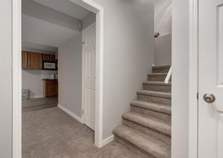 Photo 26: 12 CHAPALINA Manor SE in Calgary: Chaparral Detached for sale : MLS®# A1257099