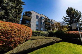 Photo 25: 307 1550 CHESTERFIELD Street in North Vancouver: Central Lonsdale Condo for sale in "The Chester's" : MLS®# R2568172