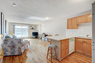 Photo 6: 15 210 25th Avenue SW in Calgary: Mission Apartment for sale : MLS®# A2033114