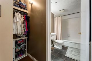 Photo 17: 506 2011 University Drive NW in Calgary: University Heights Apartment for sale : MLS®# A2129025