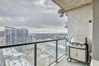 Photo 14: 1806 8710 Horton Road SW in Calgary: Haysboro Apartment for sale : MLS®# A2043585
