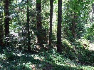 Photo 3: 3205 ST. ANNES Drive in North Vancouver: Capilano NV Land for sale : MLS®# R2546634