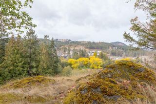 Photo 88: Lot D Rason Rd in Langford: La Thetis Heights Mixed Use for sale : MLS®# 924938
