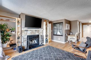 Photo 13: 9 1607 26 Avenue SW in Calgary: South Calgary Apartment for sale : MLS®# A2051928