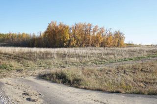 Photo 7: 17 53214 RR 13: Rural Parkland County Rural Land/Vacant Lot for sale : MLS®# E4270601