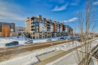 Photo 39: 301 195 Kincora Glen Road NW in Calgary: Kincora Apartment for sale : MLS®# A2033004