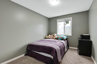 Photo 20: 146 SKYVIEW POINT Crescent in Calgary: Skyview Ranch Detached for sale : MLS®# A1216893
