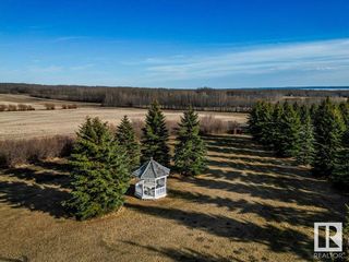 Photo 9: 1250 Twp Rd 473 A: Rural Leduc County House for sale : MLS®# E4382111