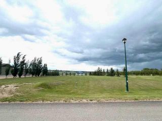 Photo 2: 6117 Evergreen Close: Rimbey Residential Land for sale : MLS®# A2142171