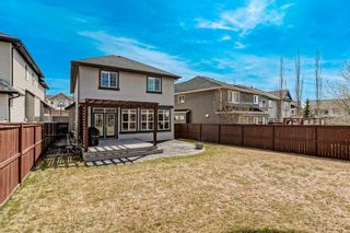 Photo 41: 262 Tremblant Way SW in Calgary: Springbank Hill Detached for sale : MLS®# A2131137