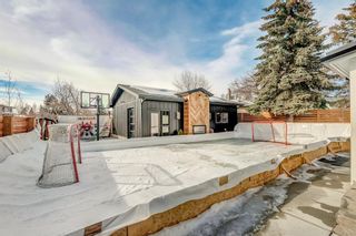 Photo 39: 1303 Windsor Street NW in Calgary: St Andrews Heights Detached for sale : MLS®# A2033561