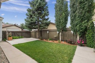 Photo 36: 41 Sprucegrove Crescent SE: Airdrie Detached for sale : MLS®# A2122634