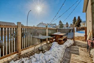 Photo 36: 112 Covington Road NE in Calgary: Coventry Hills Detached for sale : MLS®# A2034418