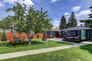 Photo 24: 3756 36 Avenue SW in Calgary: Rutland Park Detached for sale : MLS®# A2051485