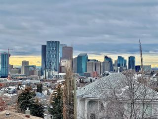 Photo 4: 1234 Colgrove Avenue NE in Calgary: Renfrew Semi Detached (Half Duplex) for sale : MLS®# A2021940