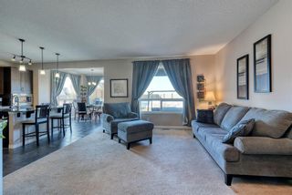 Photo 12: 27 SKYVIEW SPRINGS Cove NE in Calgary: Skyview Ranch Detached for sale : MLS®# A1053175