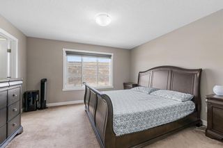 Photo 27: 459 Savanna Boulevard NE in Calgary: Saddle Ridge Semi Detached (Half Duplex) for sale : MLS®# A2115342