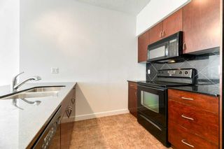 Photo 13: 1302 8880 Horton Road SW in Calgary: Haysboro Apartment for sale : MLS®# A2115962