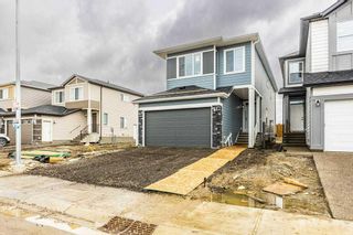 Photo 37: 148 Cornerbrook Road NE in Calgary: Cornerstone Detached for sale : MLS®# A2131357
